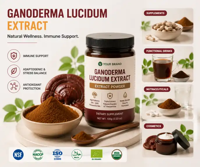 Reishi Extract Guide: Stress Relief & Immunity Reishi Extract Guide: Stress Relief & Immunity